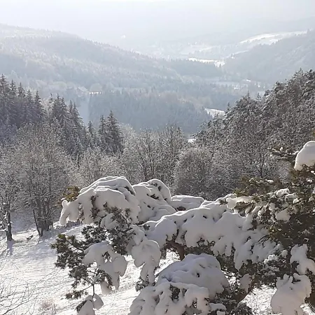 Sur Les Pistes 빌라르 드 랑