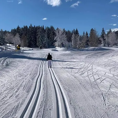 Sur Les Pistes *