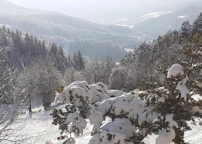 Sur Les Pistes Villard-de-Lans