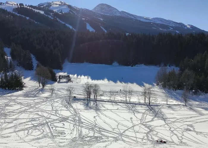 Lejlighed Sur Les Pistes *